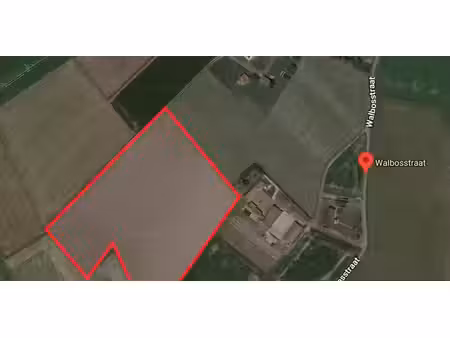 terrain agricole à vendre à wingene à partir de € 300.000