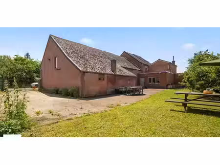 ferme à vendre à aarschot pour € 435.000