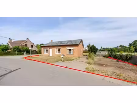 maison à vendre à kasterlee à partir de € 250.000 avec 4 chambres à coucher