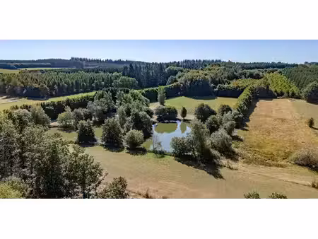 terrain à vendre à bertogne pour € 250.000