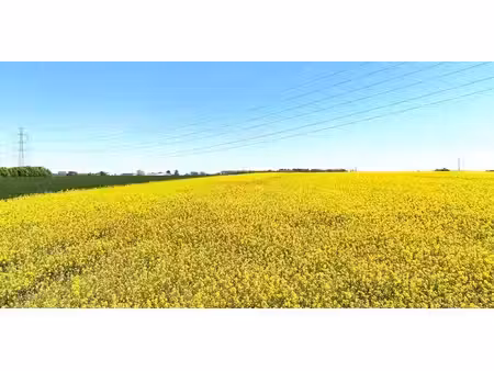 terrain agricole à vendre à coutisse pour € 450.000