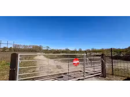 terrain agricole à vendre à keerbergen pour € 445.000