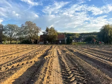 maison à vendre à petegem-aan-de-schelde pour € 325.000 avec 3 chambres à coucher