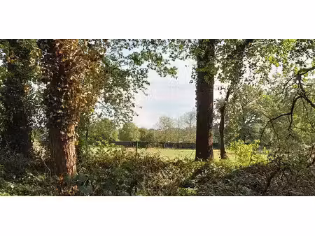 terrain à bâtir à vendre à zolder pour € 359.000