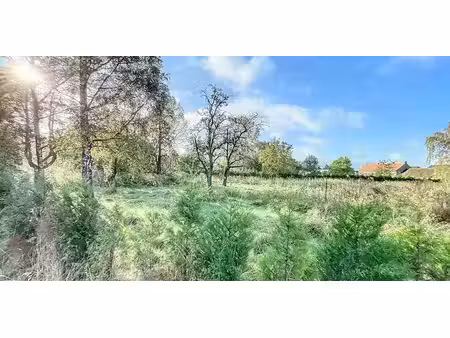 sous option - maison à vendre à wijer avec 5 chambres à coucher