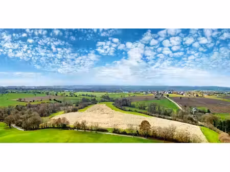 terrain agricole à vendre à thimister pour € 350.000