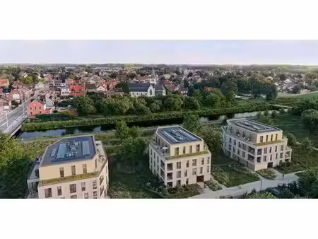 dijk