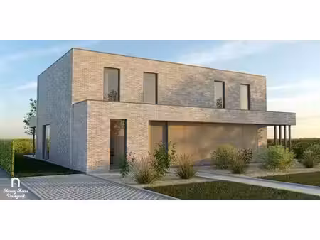 project de blauken