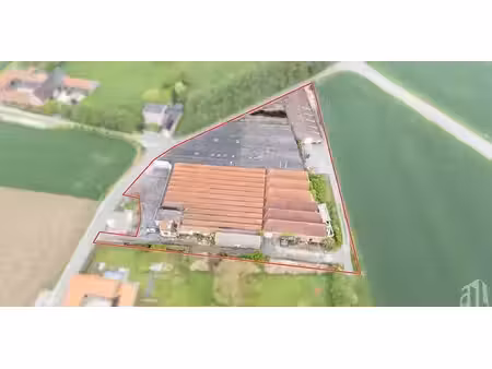 entrepôt à louer à templeuve pour € 1.500
