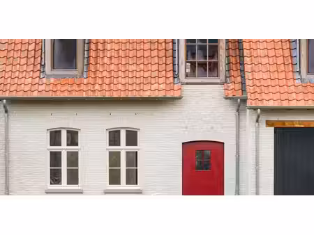 de reisduif