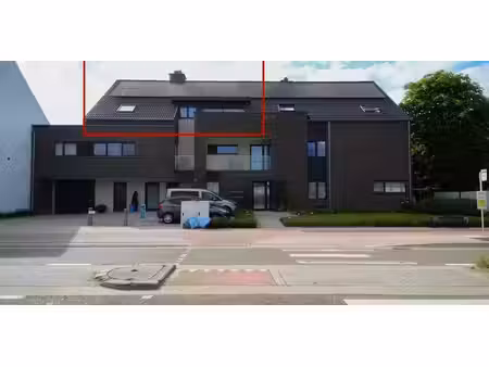 penthouse à louer à sint-lambrechts-herk pour € 1.000 avec 1 chambre à coucher
