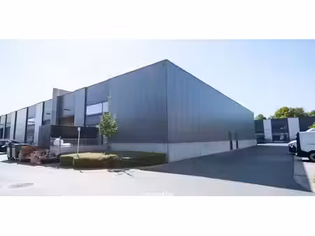 entrepôt à louer à wielsbeke pour € 2.300