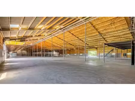 bâtiment d’entreprise à louer à bree pour € 2.713