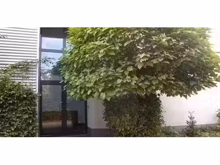 bâtiment d’entreprise à louer à opglabbeek pour € 2.850