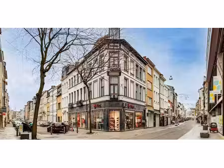 usage mixte à vendre à antwerpen pour € 995.000 avec 6 chambres à coucher
