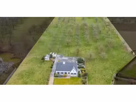 maison à vendre à wellen pour € 995.000 avec 5 chambres à coucher