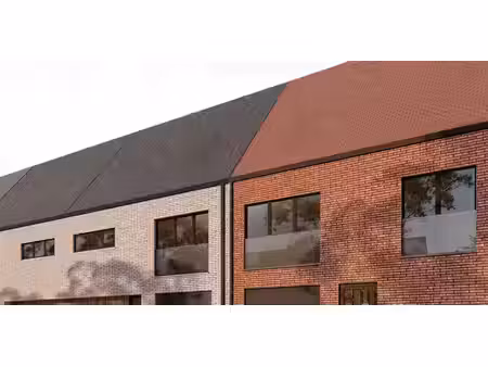 ter boom - colibrilei fase 3