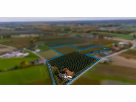 terrain agricole à vendre à herk-de-stad pour € 590.661