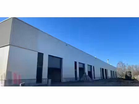 bâtiment d’entreprise à louer à genk pour € 1.250