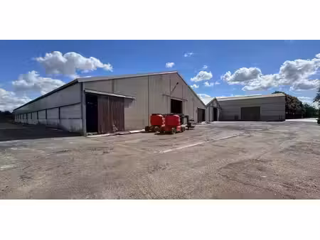 entrepôt à louer à zwevezele pour € 4.725
