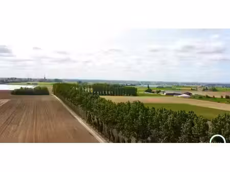 ferme à vendre à esen pour € 1.450.000 avec 5 chambres à coucher