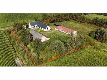 ferme à vendre à putte pour € 950.000 avec 5 chambres à coucher