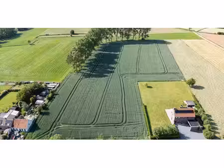 sous option - terrain à bâtir à vendre à ellezelles