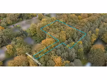 terrain à bâtir à vendre à kalmthout pour € 429.000