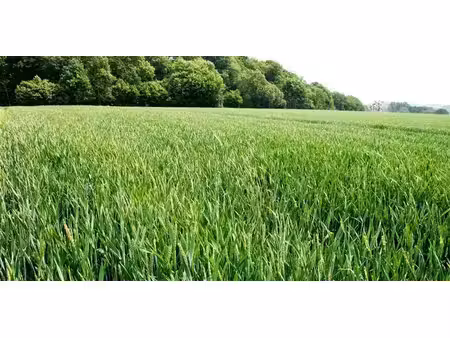 terrain agricole à vendre à évelette pour € 885.000