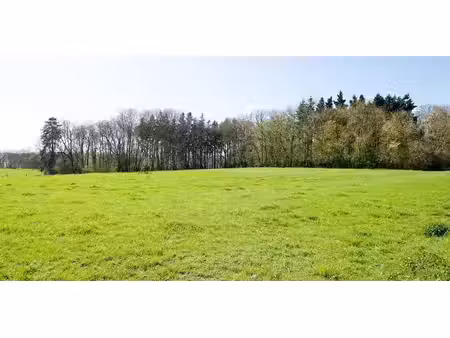 terrain agricole à vendre à baillonville pour € 981.230