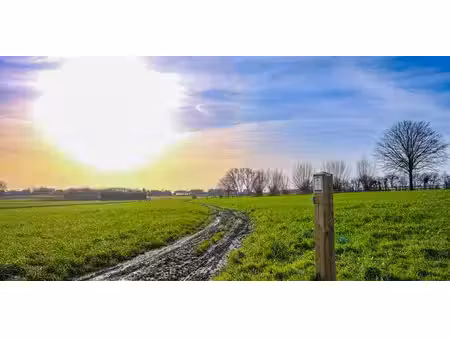 terrain agricole à vendre à geluveld pour € 568.904