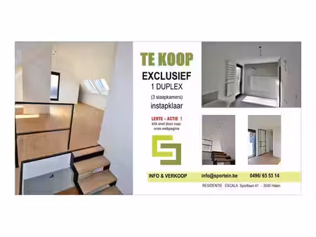 sous option - duplex à vendre à halen avec 3 chambres à coucher