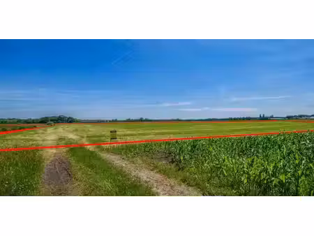 terrain agricole à vendre à sint-lenaarts pour € 650.000