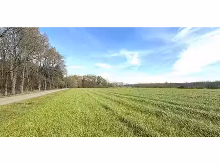 terrain à vendre à tessenderlo pour € 1.637.880
