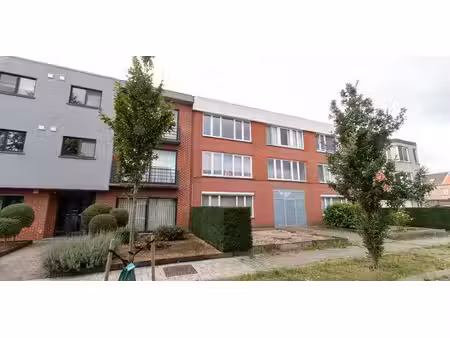 appartement à louer à wijnegem pour € 820 avec 1 chambre à coucher
