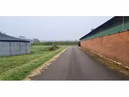entrepôt à louer à merksplas pour € 800