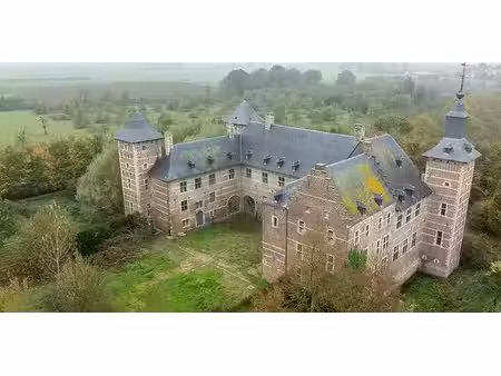 château à vendre à borgloon pour € 1.999.000 avec 50 chambres à coucher