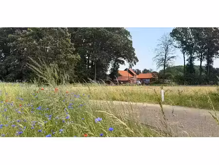 ferme à vendre à holsbeek pour € 625.000 avec 2 chambres à coucher