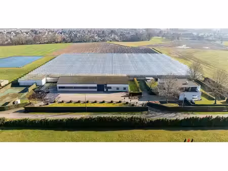 maison à vendre à koningshooikt pour € 1.950.000 avec 5 chambres à coucher