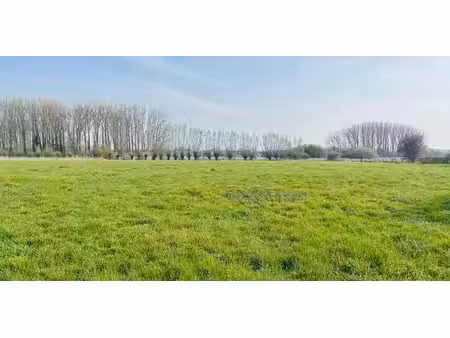 terrain à bâtir à vendre à deerlijk pour € 475.000