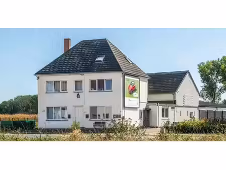 immeuble d'appartements à vendre à schulen pour € 659.000 avec 11 chambres à coucher