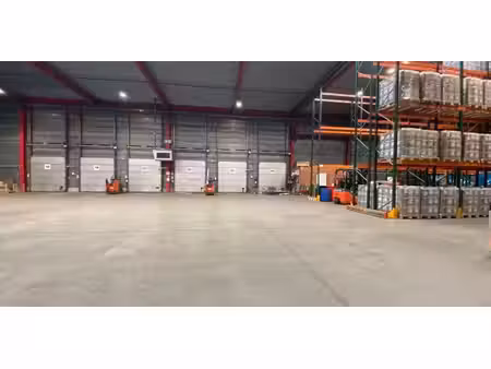 entrepôt à louer à beveren pour € 8.334