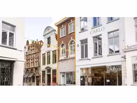usage mixte à vendre à oudenaarde pour € 749.000 avec 4 chambres à coucher