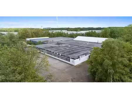 bâtiment d’entreprise à vendre à tessenderlo pour € 3.600.000