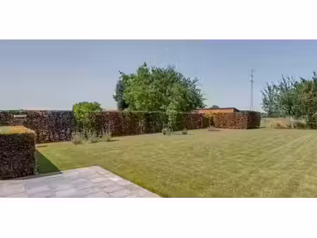 sous option - maison à vendre à onkerzele avec 5 chambres à coucher