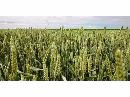 terrain agricole à vendre à ohey pour € 4.955.470