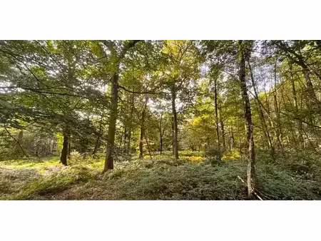 bois à vendre à sirault pour € 500.000