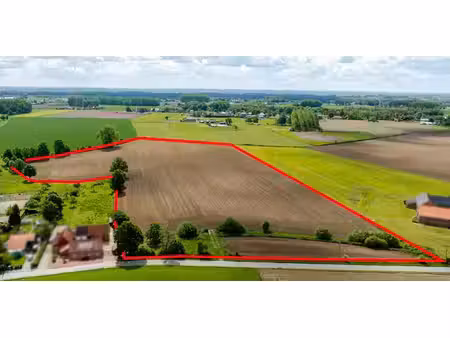 terrain agricole à vendre à diepenbeek pour € 499.375