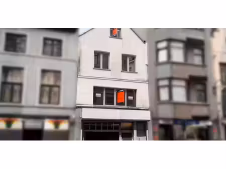 restauration à vendre à bruxelles pour € 820.000