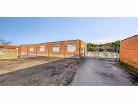 bâtiment commercial à vendre à berendrecht pour € 795.000